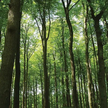 Fletcher Boutique De Mallejan Hotel 4*