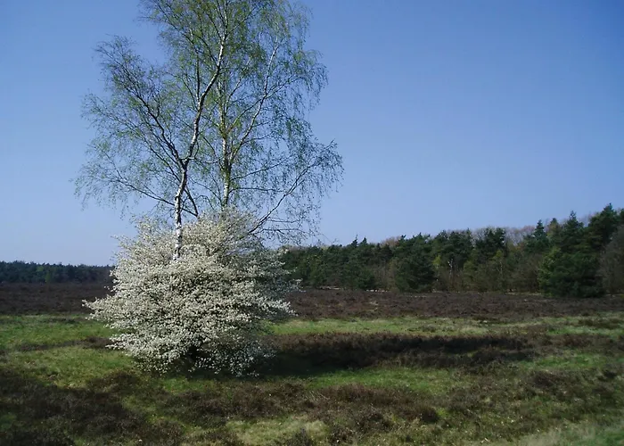 Hotel Fletcher Boutique De Mallejan 4*