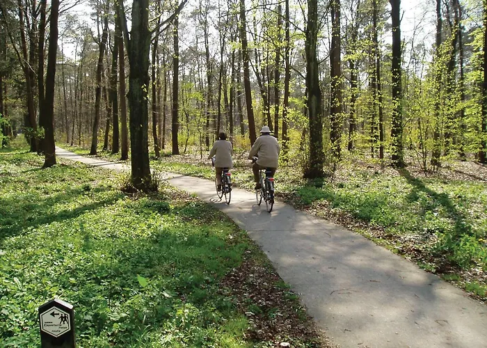 Hotel Fletcher Boutique De Mallejan 4*