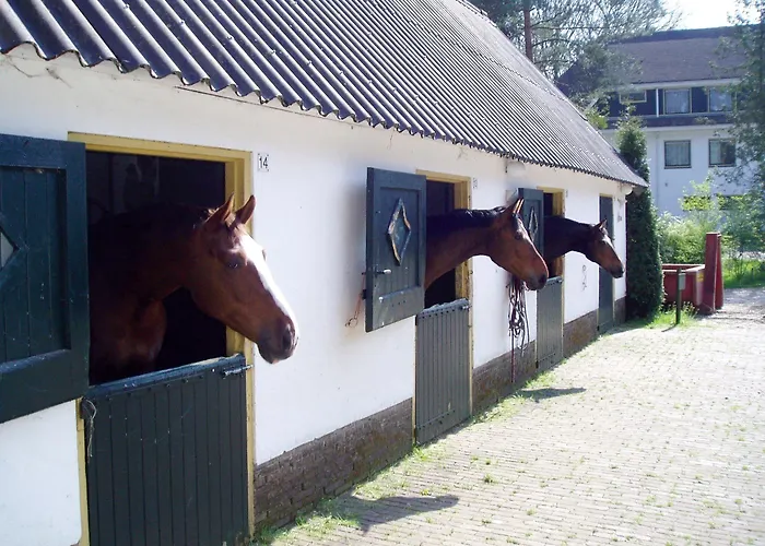 Fletcher Boutique De Mallejan Vierhouten