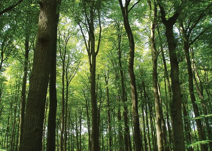 Fletcher Boutique De Mallejan Hotel 4*